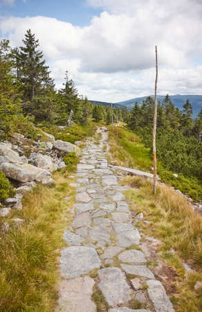 Trail in Karkonosze (Giant Mountains), Czech Republic.の写真素材