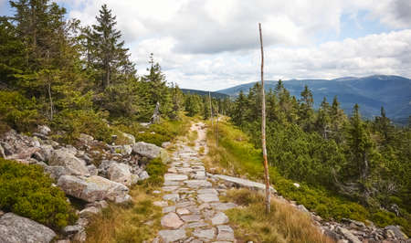 Trail in Karkonosze (Giant Mountains), Czech Republic.の写真素材
