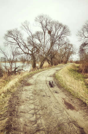 Dirt road in autumn, color toning applied.