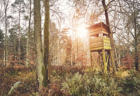 Picture of a hunting pulpit in forest in autumn, color toning applied.の写真素材