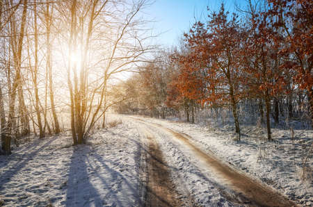 Beautiful winter landscape with country road against the sun.