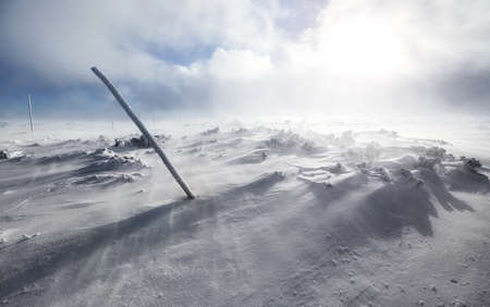 Winter landscape during a blizzard in Karkonosze National Park, Poland.の写真素材