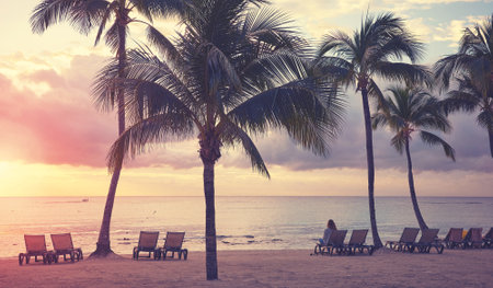 Caribbean beach at sunset, color toning applied, Mexico.の写真素材