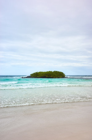Tortuga Bay beach on Santa Cruz Island, Galapagos Islands, Ecuador.の写真素材