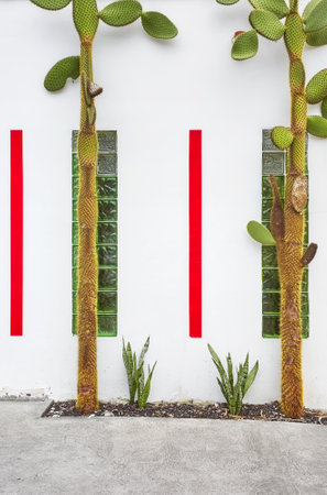 Street view of white building facade with cactus, architecture background, Ecuador.の写真素材