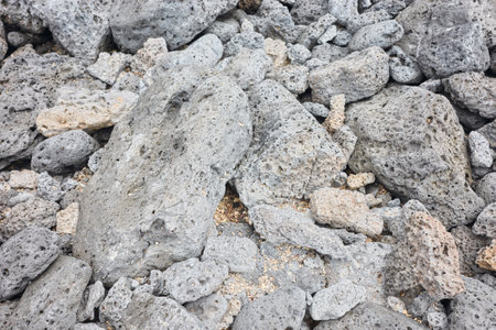 Volcanic rocks nature abstract background, selective focus, Galapagos Islands, Ecuador.の写真素材