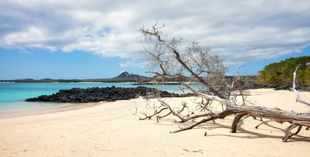 Beach on a beautiful uninhabited island, Galapagos Islands, Ecuador.の写真素材