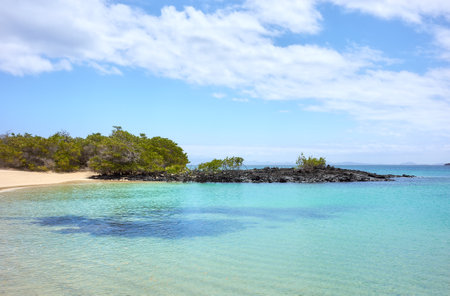 Empty beach on a beautiful uninhabited island, Galapagos Islands, Ecuador.の写真素材