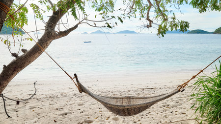 Hammock on the beach of a tropical island, Philippines.の写真素材