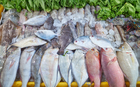 Freshly caught sea fish at a market in Kota Kinabalu, Borneo, Malaysia.の写真素材