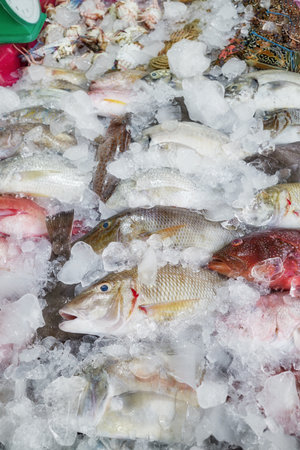 Freshly caught sea fish at a market in Kota Kinabalu, Borneo, Malaysia.の写真素材