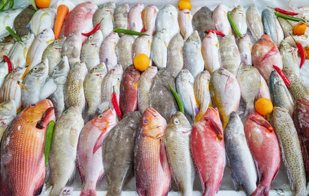 Freshly caught sea fish at a market in Kota Kinabalu, Borneo, Malaysia.の写真素材
