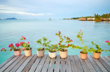 Plants in pots on a pier, Semporna district, Borneo, Malaysia.の写真素材