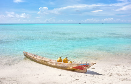 Coconuts in a wooden boat off the beach of Timba Timba Island, summer vacation concept, Borneo, Malaysia.の写真素材