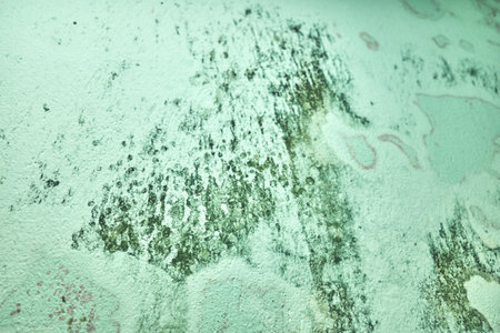 Blurred abstract grungy green background.の写真素材
