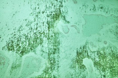 Blurred abstract grungy green background.の写真素材