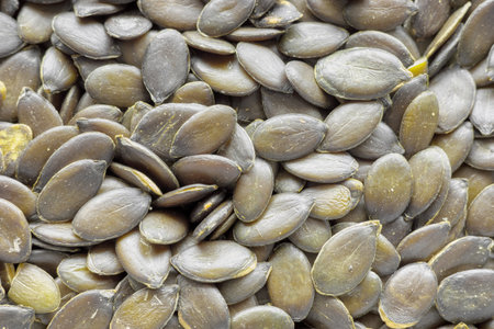 Close up photo of peeled pumpkin seeds, selective focus.の写真素材