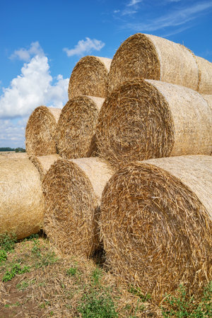 Hay bales against the sky.