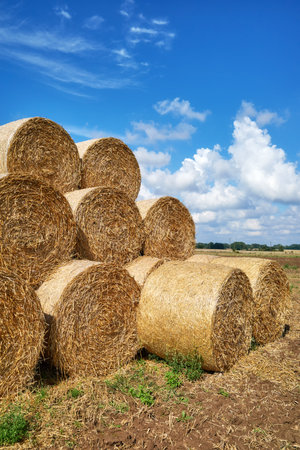 Hay bales against the sky.の写真素材