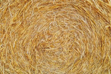 Close up photo of a hay bale, natural background.の写真素材