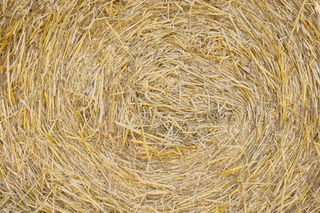 Close up photo of a hay bale, natural backgroundの写真素材
