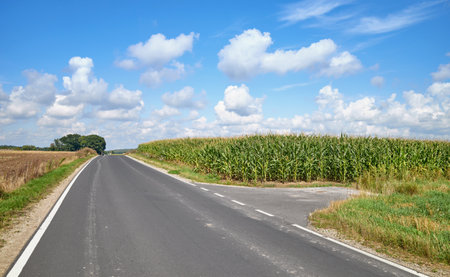 A rural asphalt road among fields, Poland.の写真素材