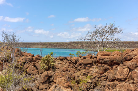 The pristine landscape of Santa Cruz Island, Galapagos Islands, Ecuador.の写真素材