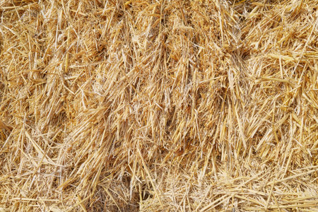 Close up photo of a hay bale, natural background.