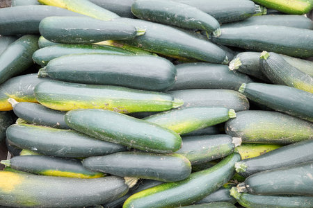 Photo of freshly picked organic zucchini, selective focus.の写真素材
