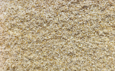 Photo of ground milk thistleの写真素材