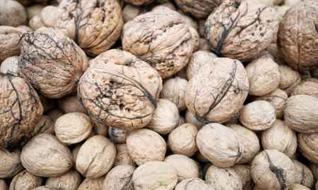Close up photo walnuts of various sizes, selective focus.の写真素材