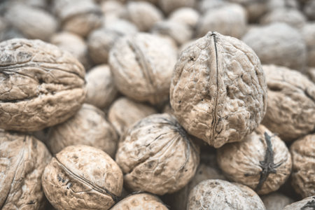 Close up photo walnuts, selective focus.の写真素材