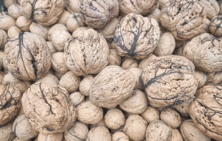 Close up photo walnuts, selective focus.