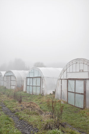 Greenhouses of an organic vegetable farm on a foggy day.の写真素材