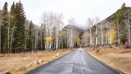 Road in Rocky Mountain National Park, Colorado, USA.