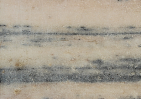 Candoglia white marble with blue horizontal lines layersの写真素材