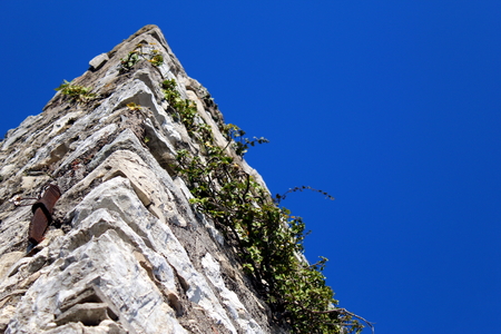 Old castle towerの写真素材