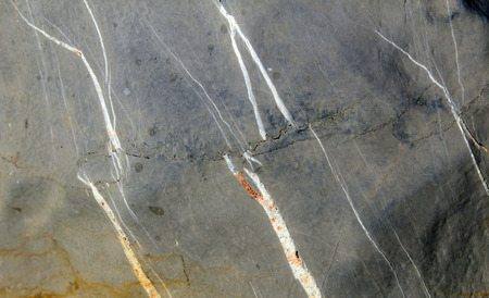Grey limestone with calcite veins
