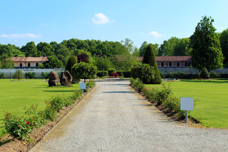 Gravel-paved path in a botanical gardenの写真素材