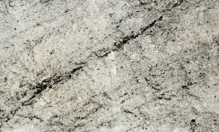 Metamorphic rock with foliationの写真素材
