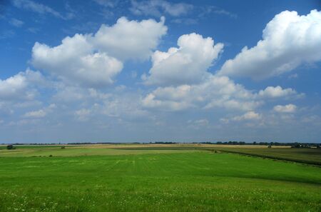 green meadow and white clouds on the blue skyの写真素材