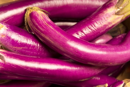 Delicious organic thai eggplant at the farmers marketの写真素材