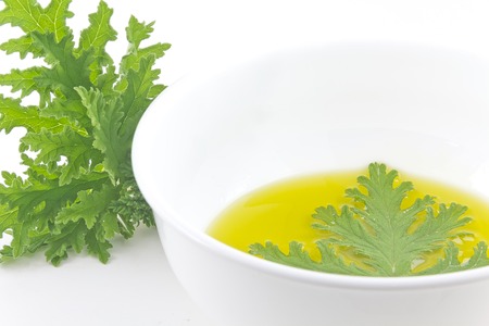 A citronella plant leaf resting in oil to make homemade mosquito repellantの写真素材