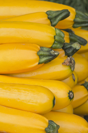 Fresh organic yellow zucchini displayed at farmers marketの写真素材