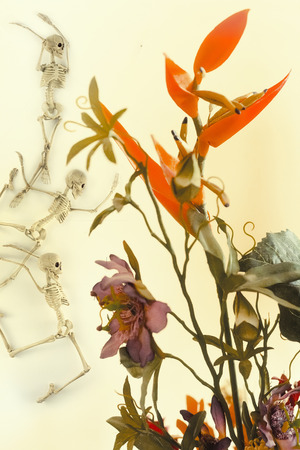 Scary dancing fairy skeletons on vintage flower backgroundの写真素材