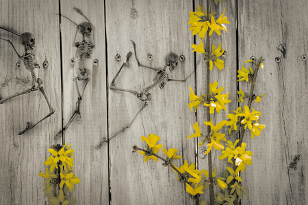 Scary dancing fairy skeletons on vintage flower backgroundの写真素材