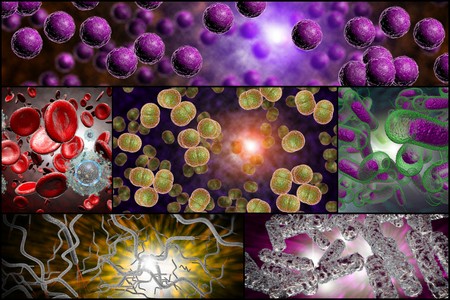 3D microscope close up of various bacteria in collage imagery