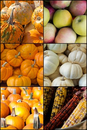 Seasonal fruits and vegetables of Autumn for holiday collage imageの写真素材
