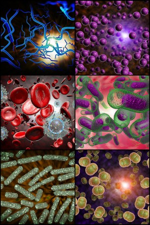 3D microscope close up of various bacteria in collage imageryの写真素材