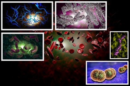 3D microscope close up of various bacteria in collage imagery
